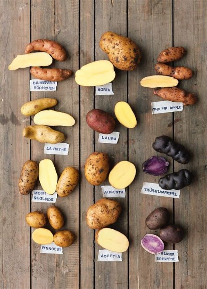 What can I use potatoes for?