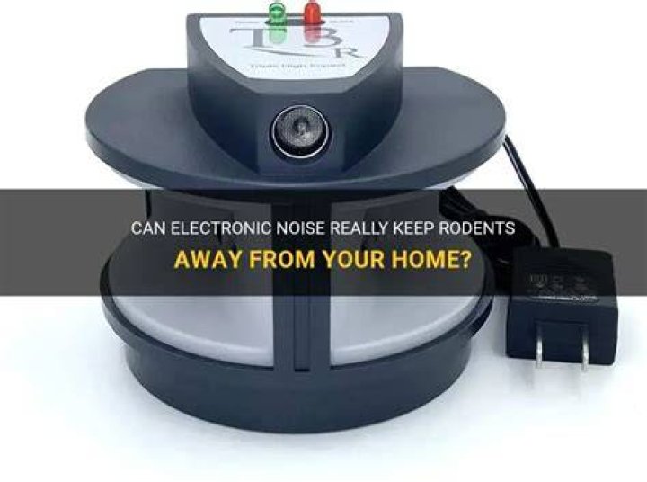 What noise keeps rats away?