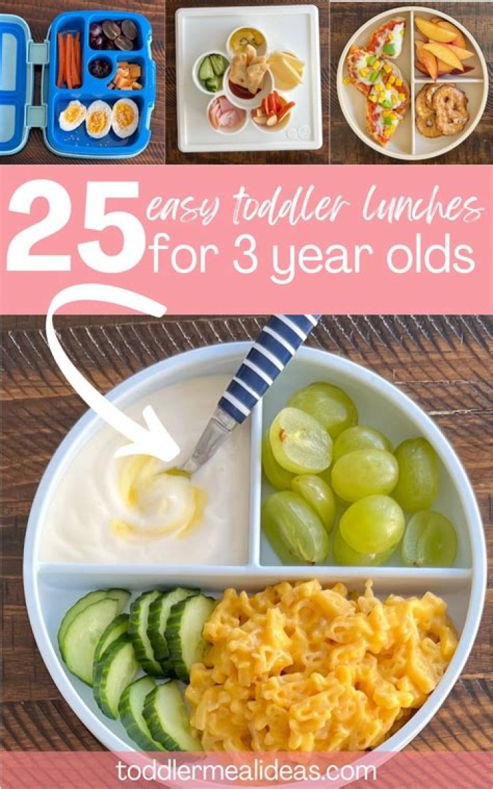 What should a 5 year old eat for lunch?
